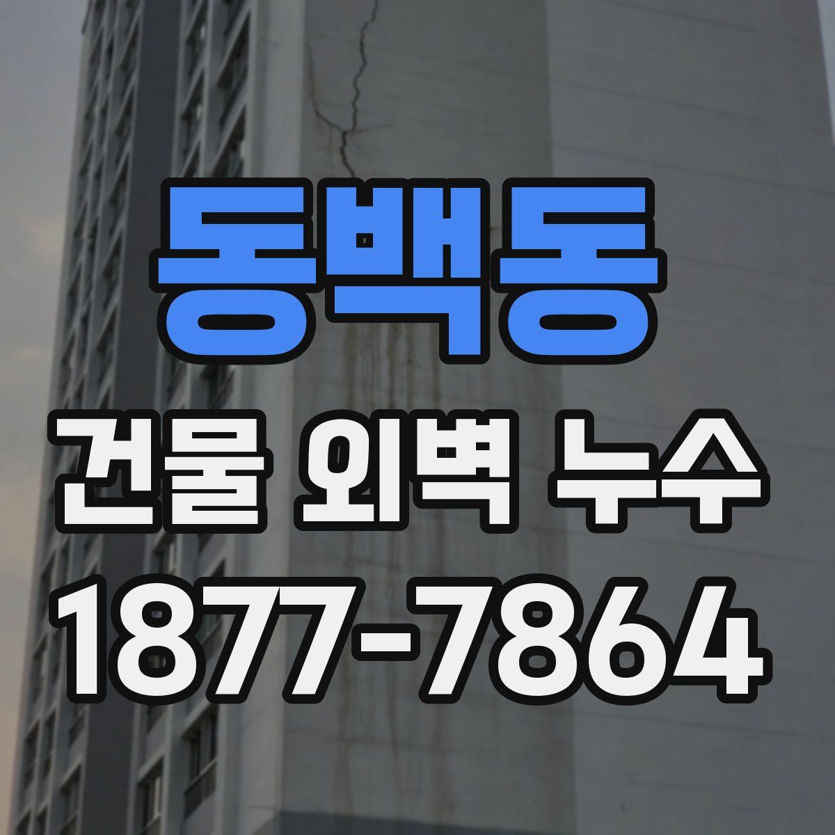 동백동 건물 외벽 누수