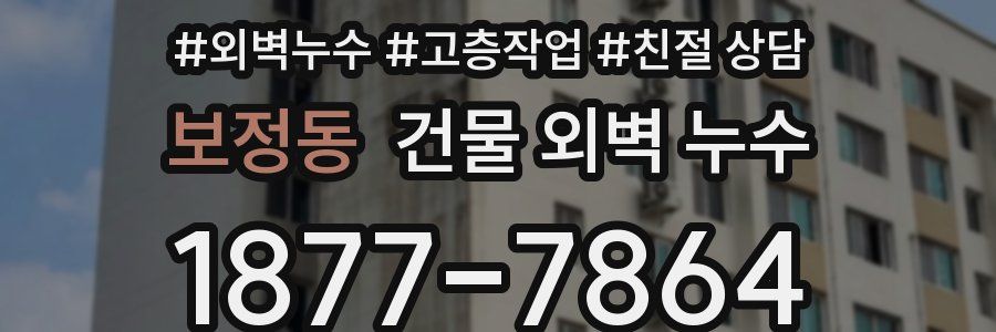 보정동 건물 외벽 누수