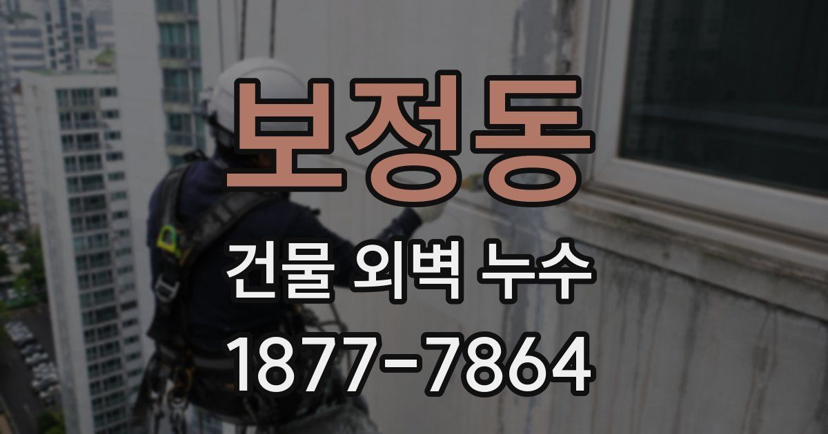 보정동 건물 외벽 누수