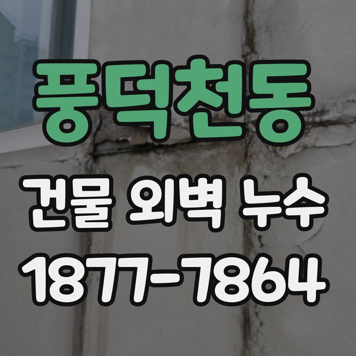 풍덕천동 건물 외벽 누수