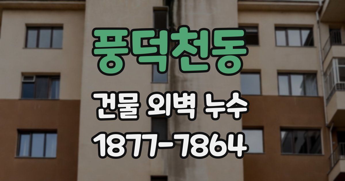 풍덕천동 건물 외벽 누수