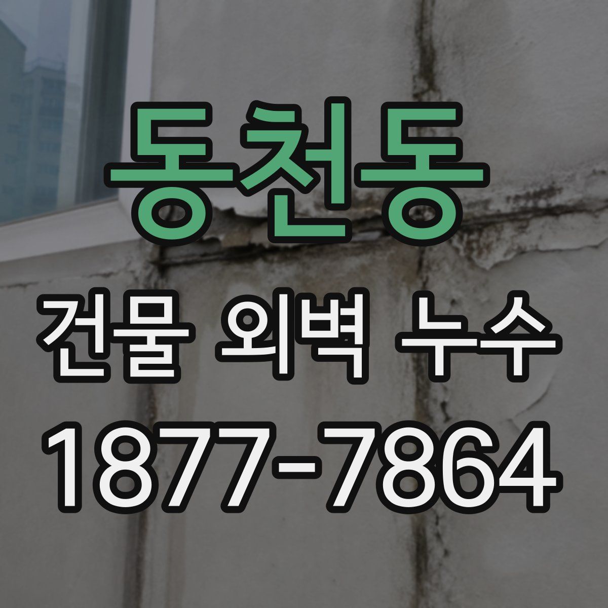 동천동 건물 외벽 누수