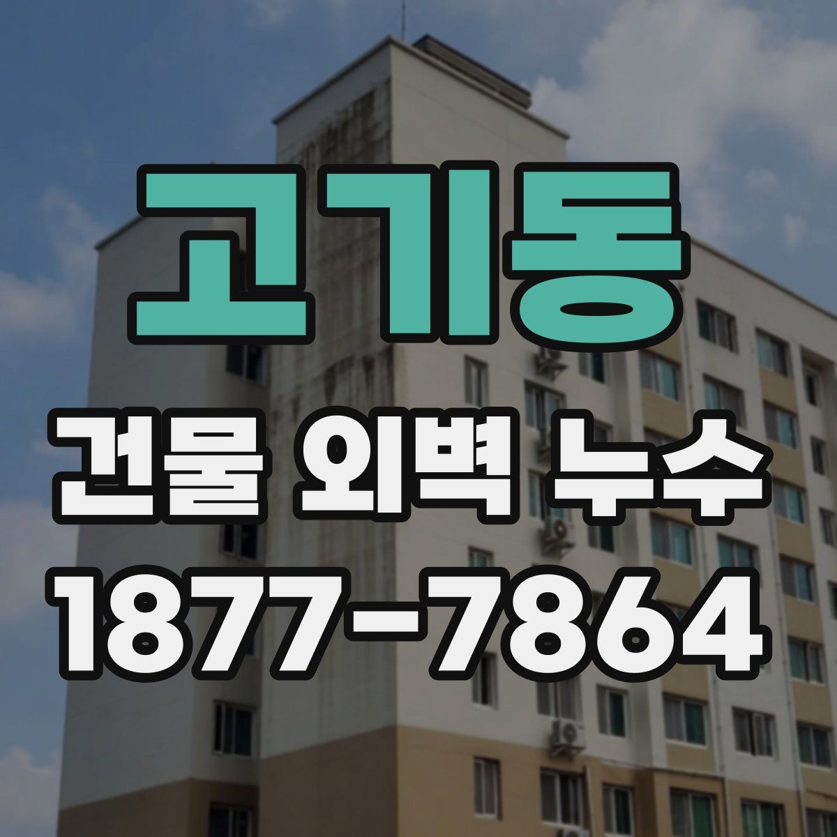 고기동 건물 외벽 누수