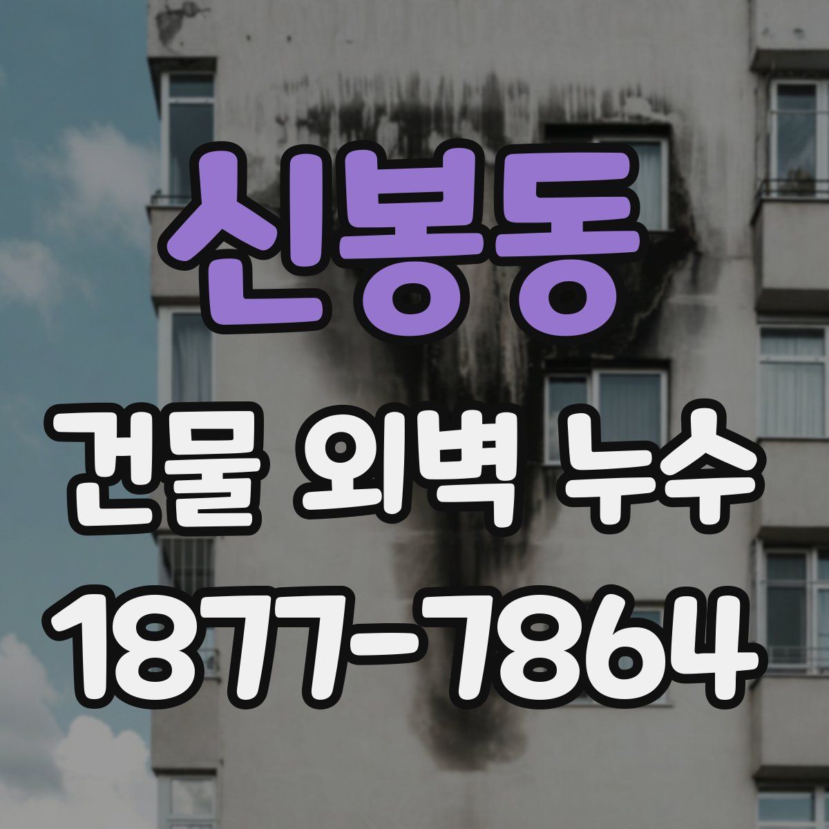 신봉동 건물 외벽 누수