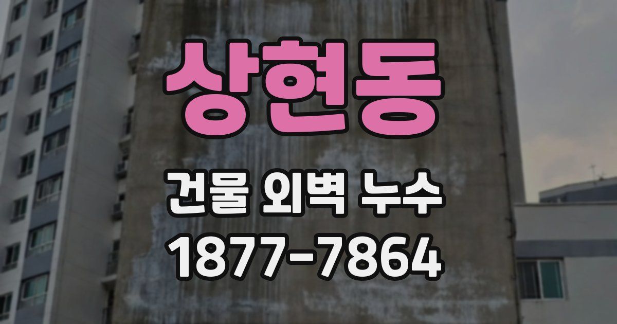 상현동 건물 외벽 누수