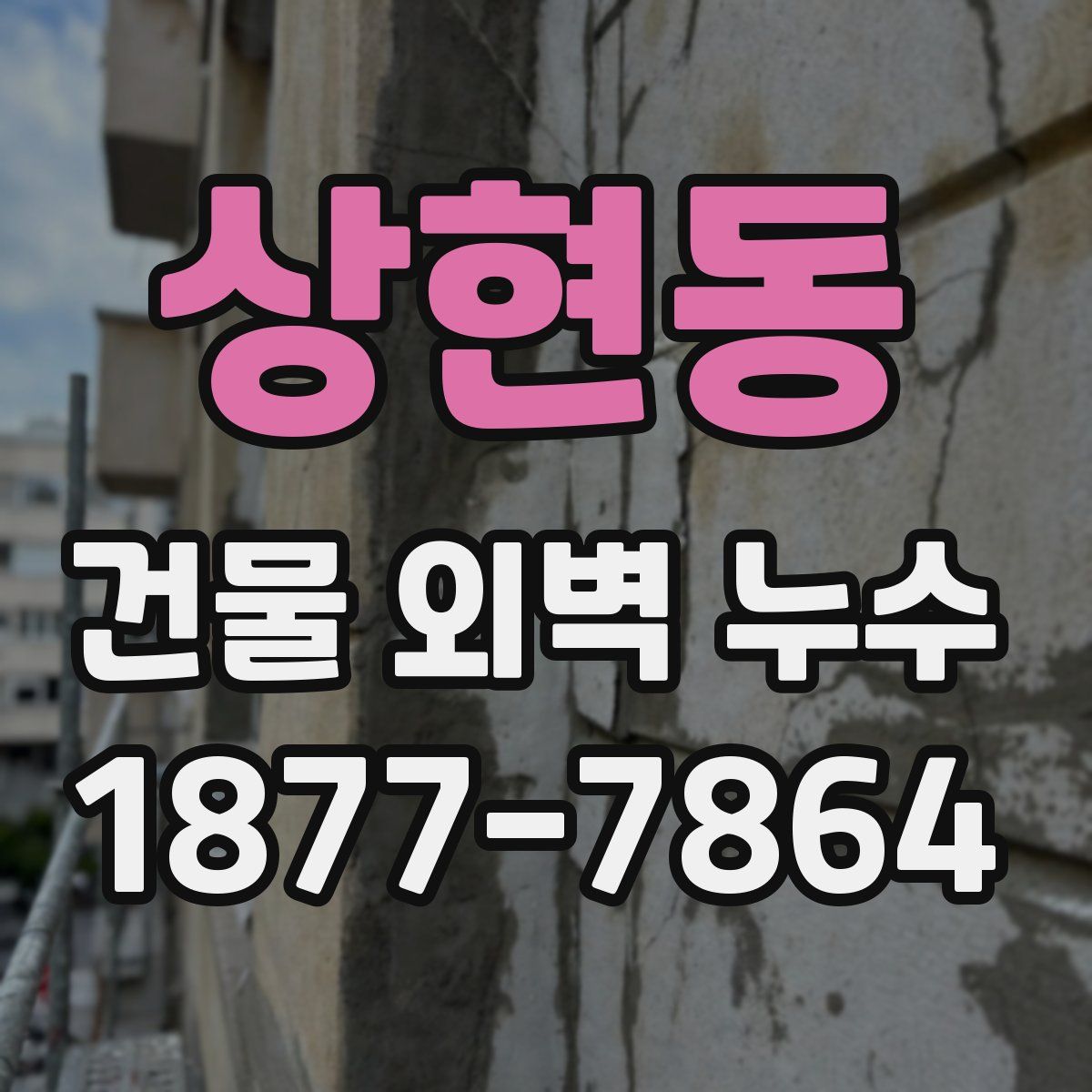 상현동 건물 외벽 누수