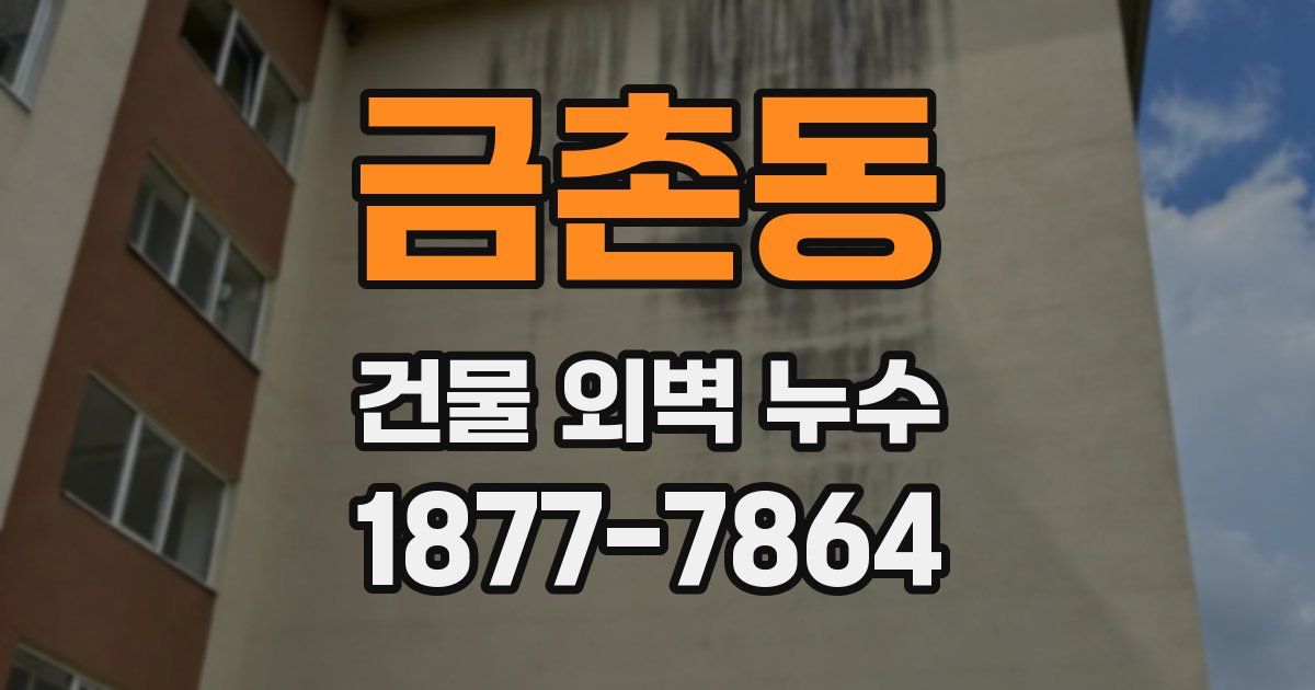 금촌동 건물 외벽 누수