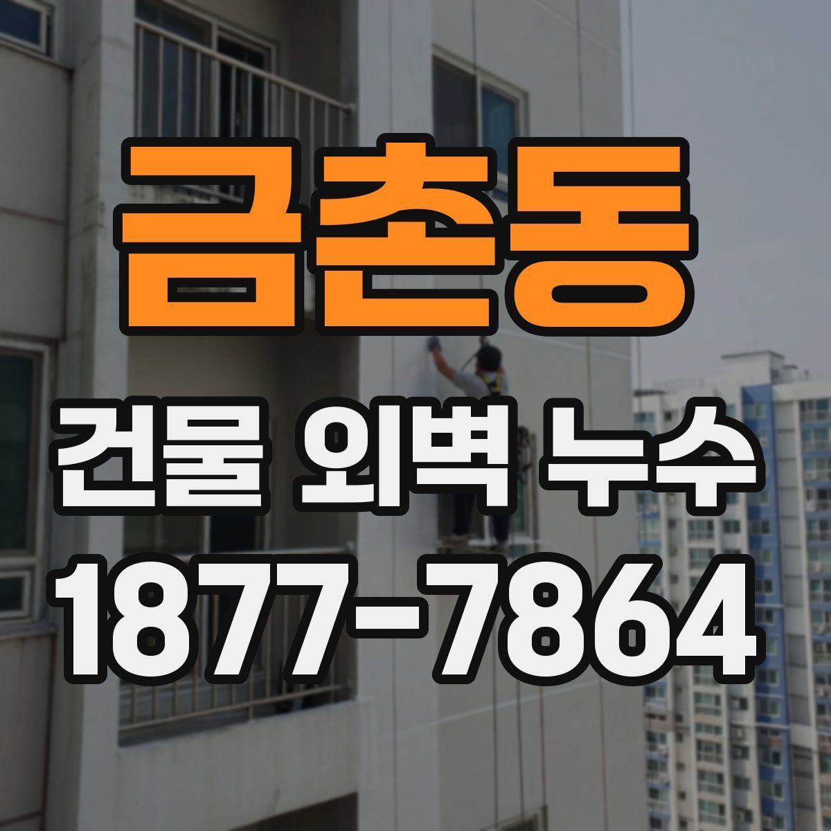 금촌동 건물 외벽 누수