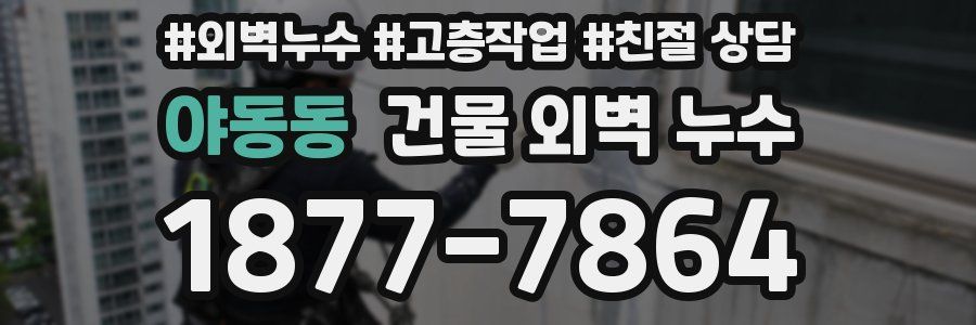 야동동 건물 외벽 누수