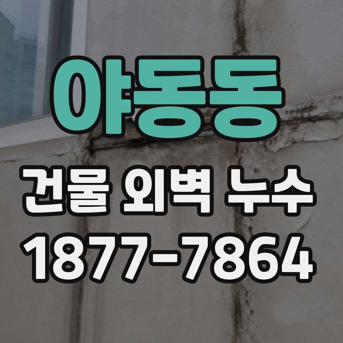 야동동 건물 외벽 누수