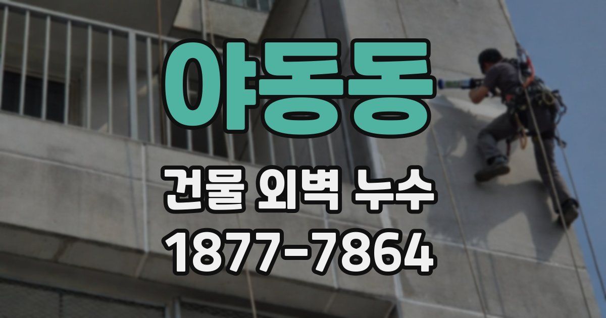야동동 건물 외벽 누수