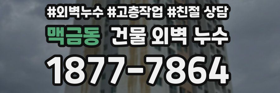 맥금동 건물 외벽 누수