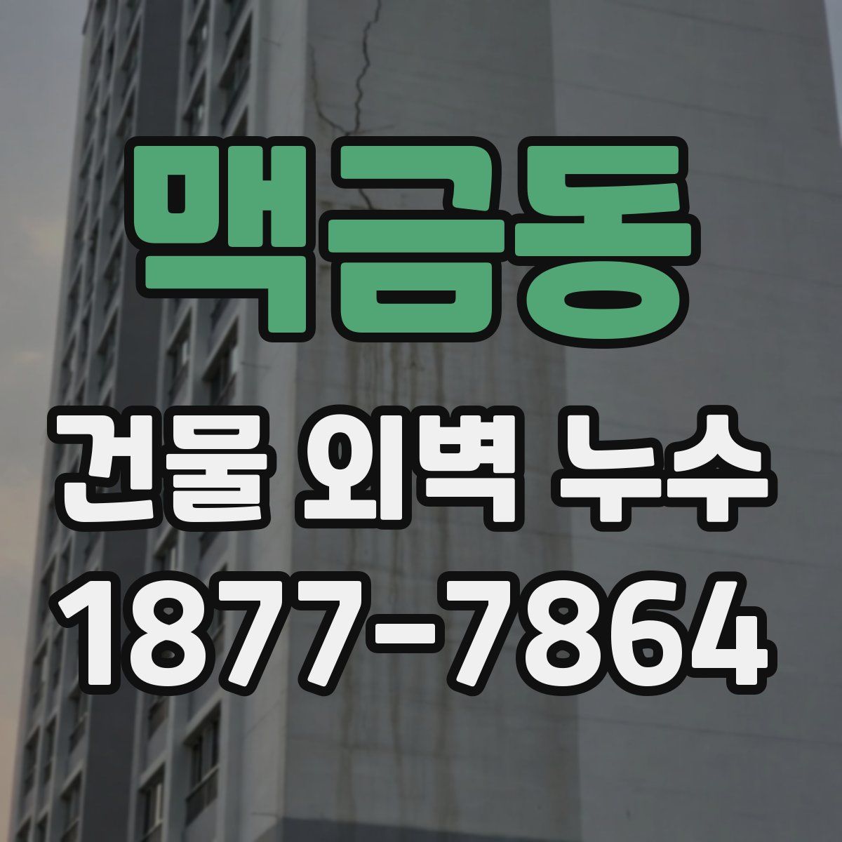 맥금동 건물 외벽 누수