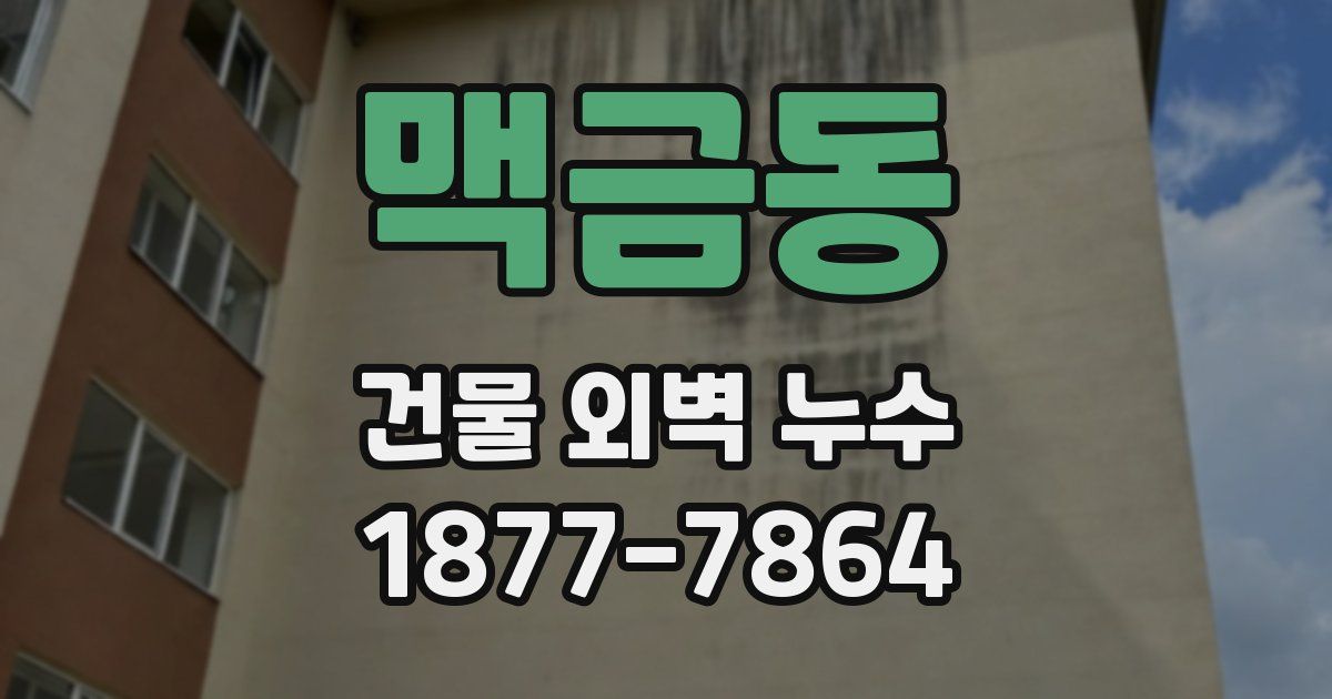 맥금동 건물 외벽 누수
