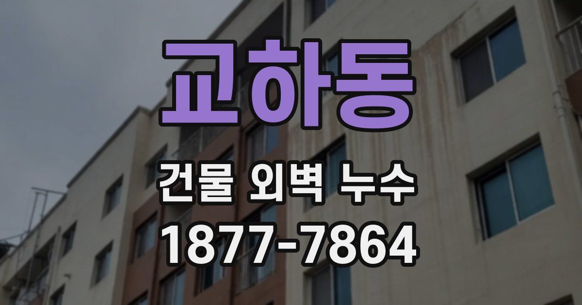 교하동 건물 외벽 누수