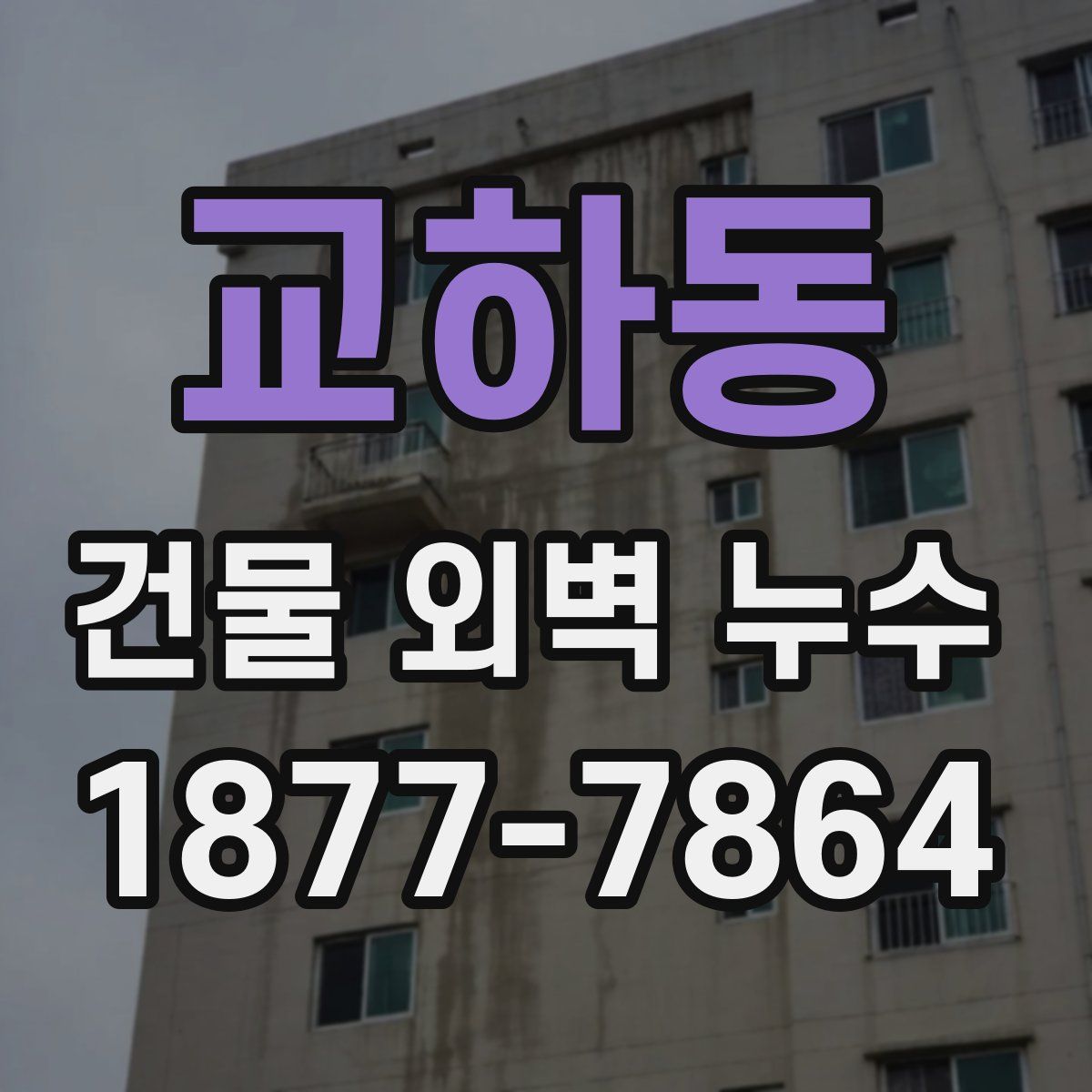 교하동 건물 외벽 누수