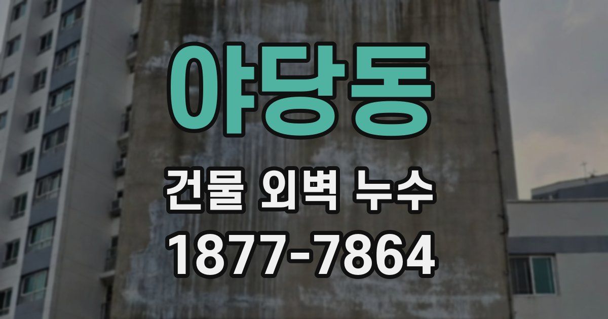 야당동 건물 외벽 누수
