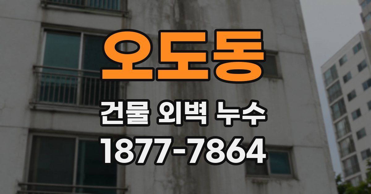 오도동 건물 외벽 누수