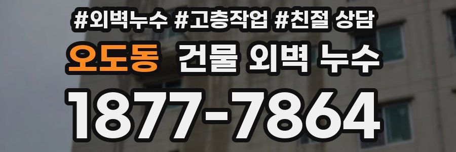 오도동 건물 외벽 누수
