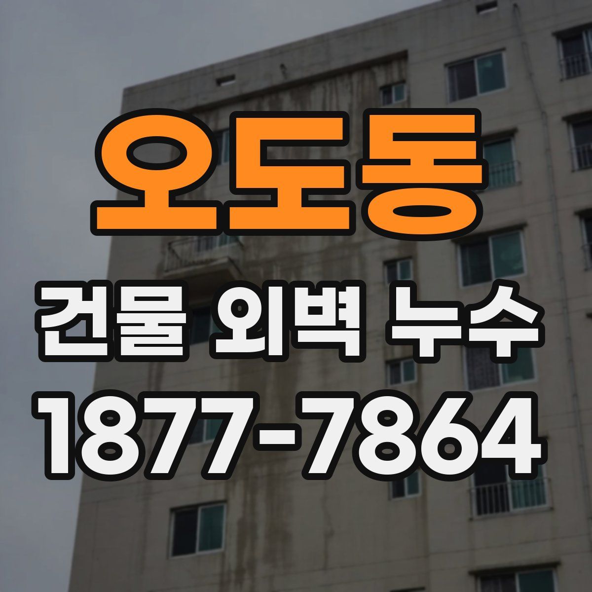 오도동 건물 외벽 누수