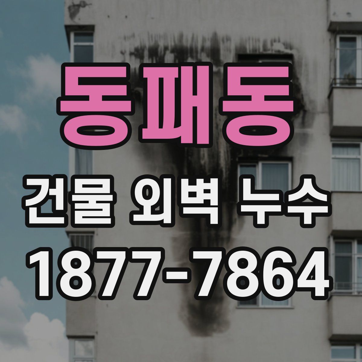 동패동 건물 외벽 누수