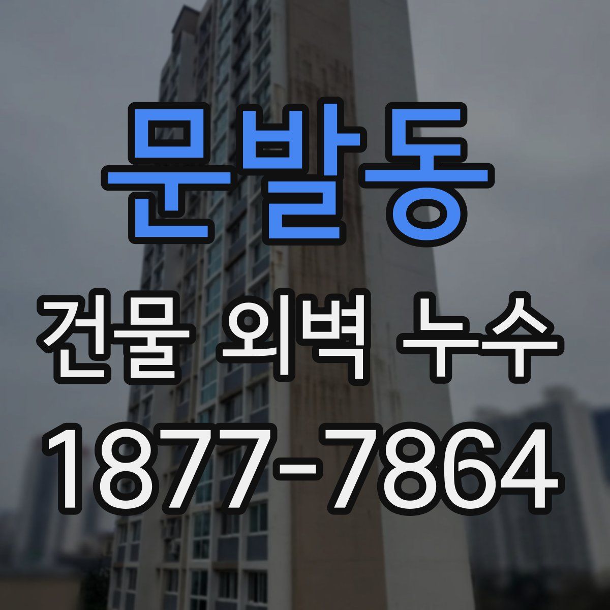 문발동 건물 외벽 누수