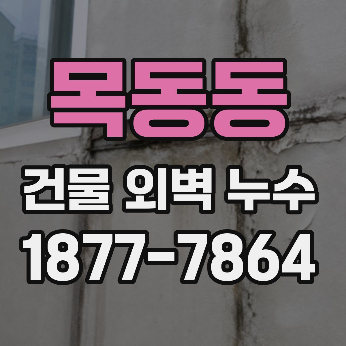 목동동 건물 외벽 누수