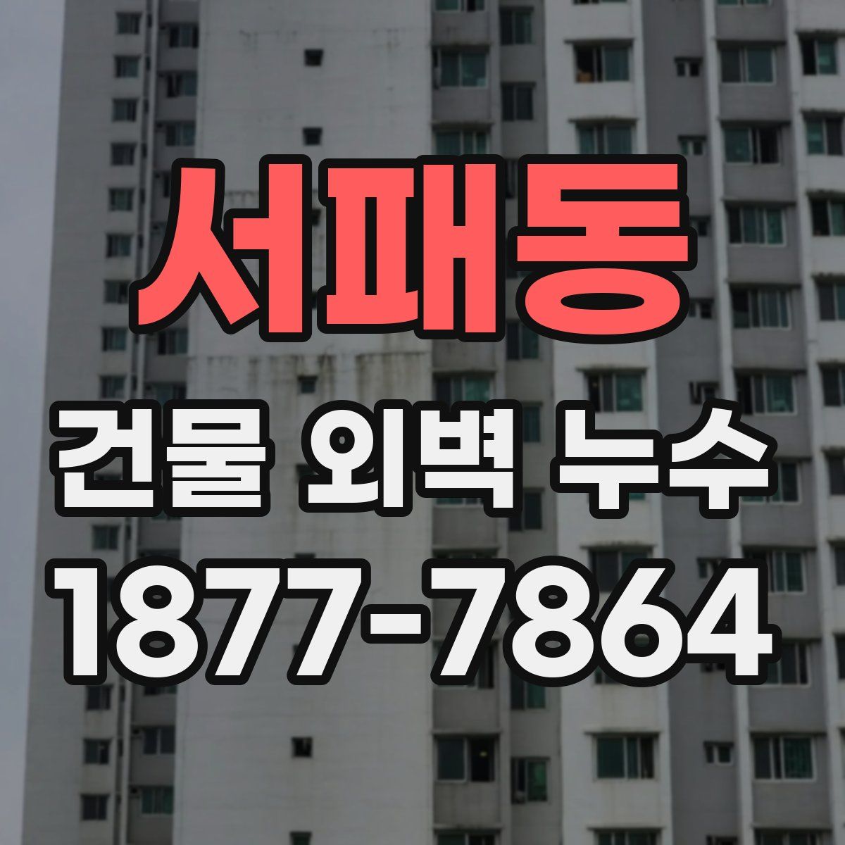 서패동 건물 외벽 누수