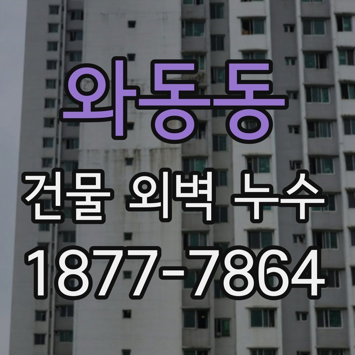 와동동 건물 외벽 누수 수리 계획 세울 때 보는 요소