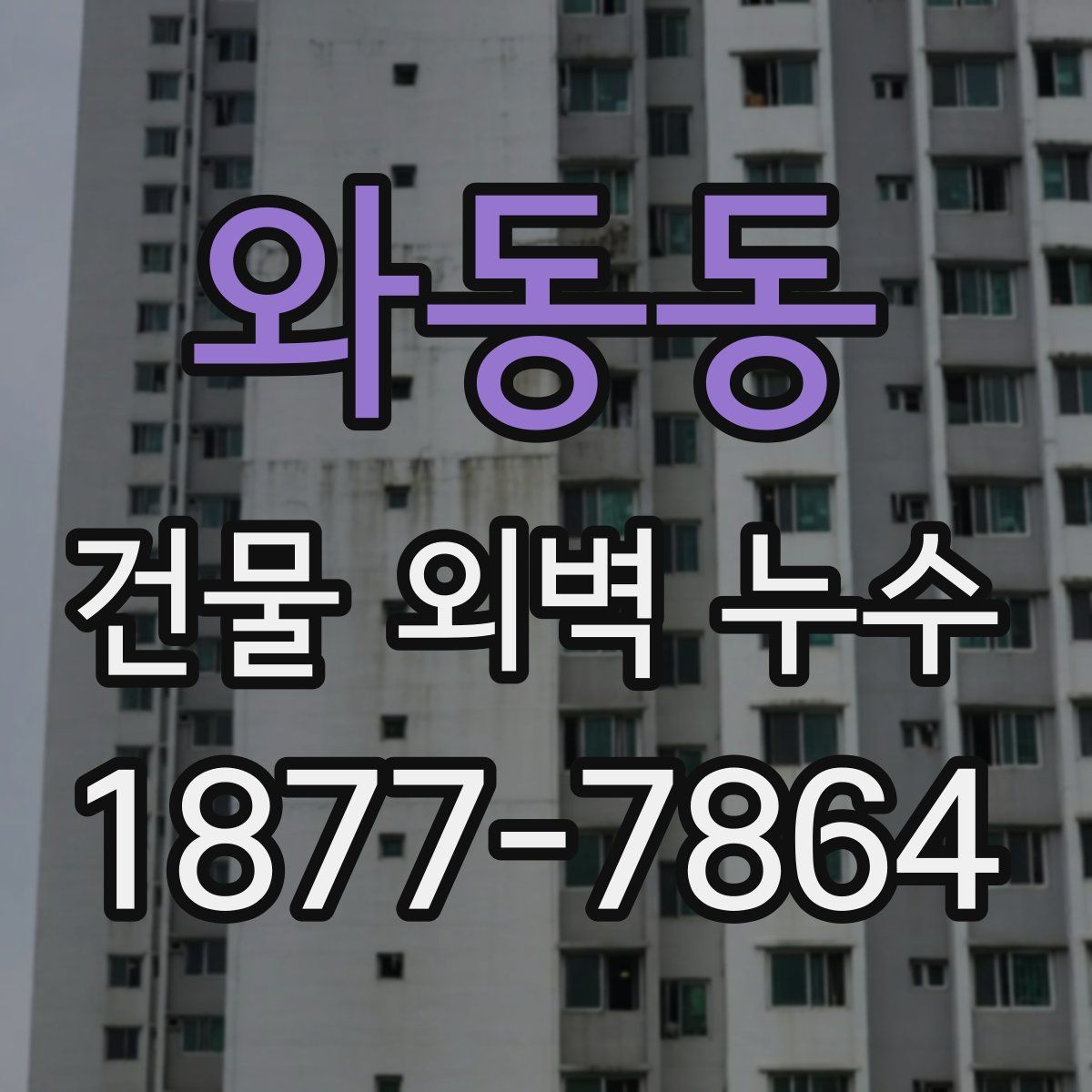 와동동 건물 외벽 누수