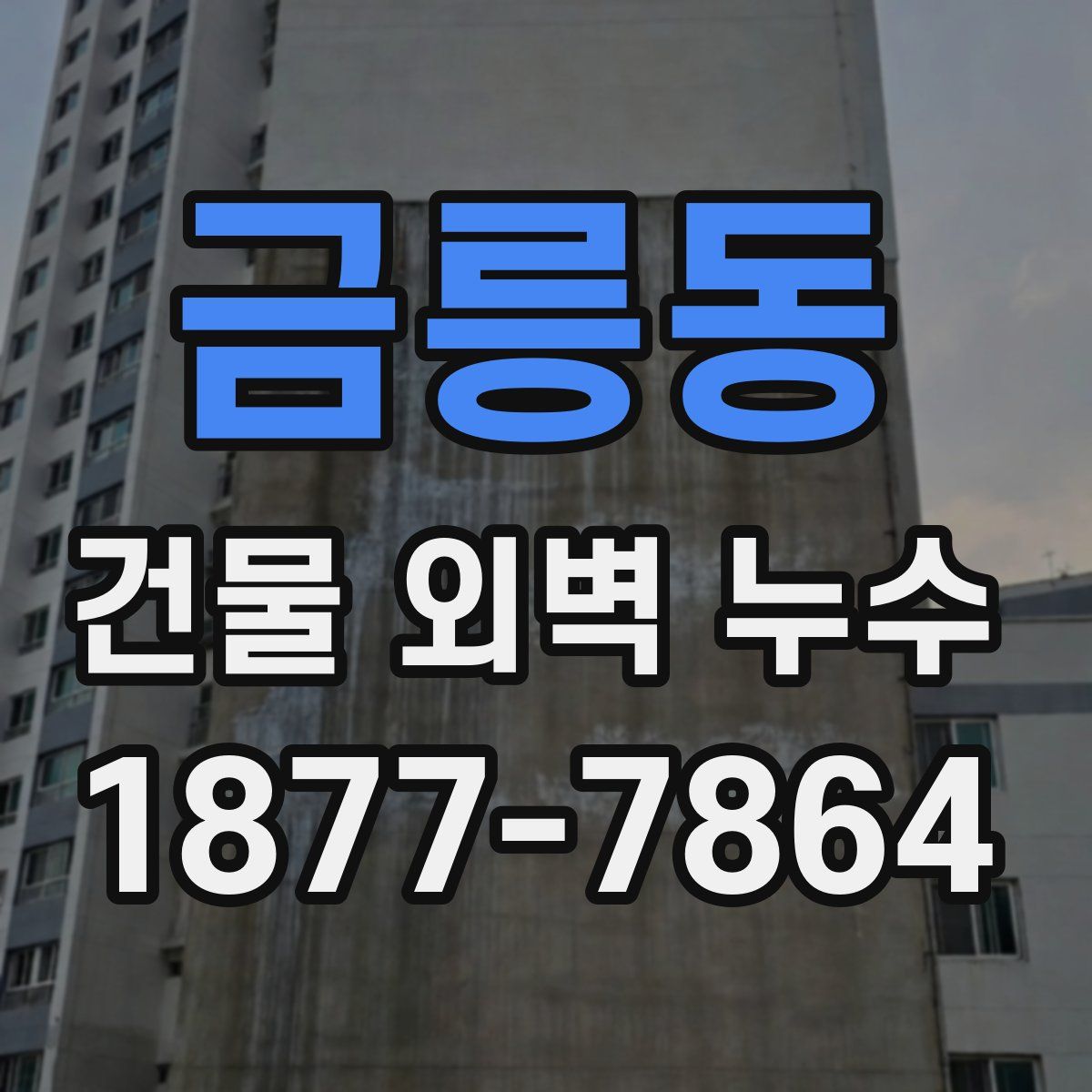 금릉동 건물 외벽 누수