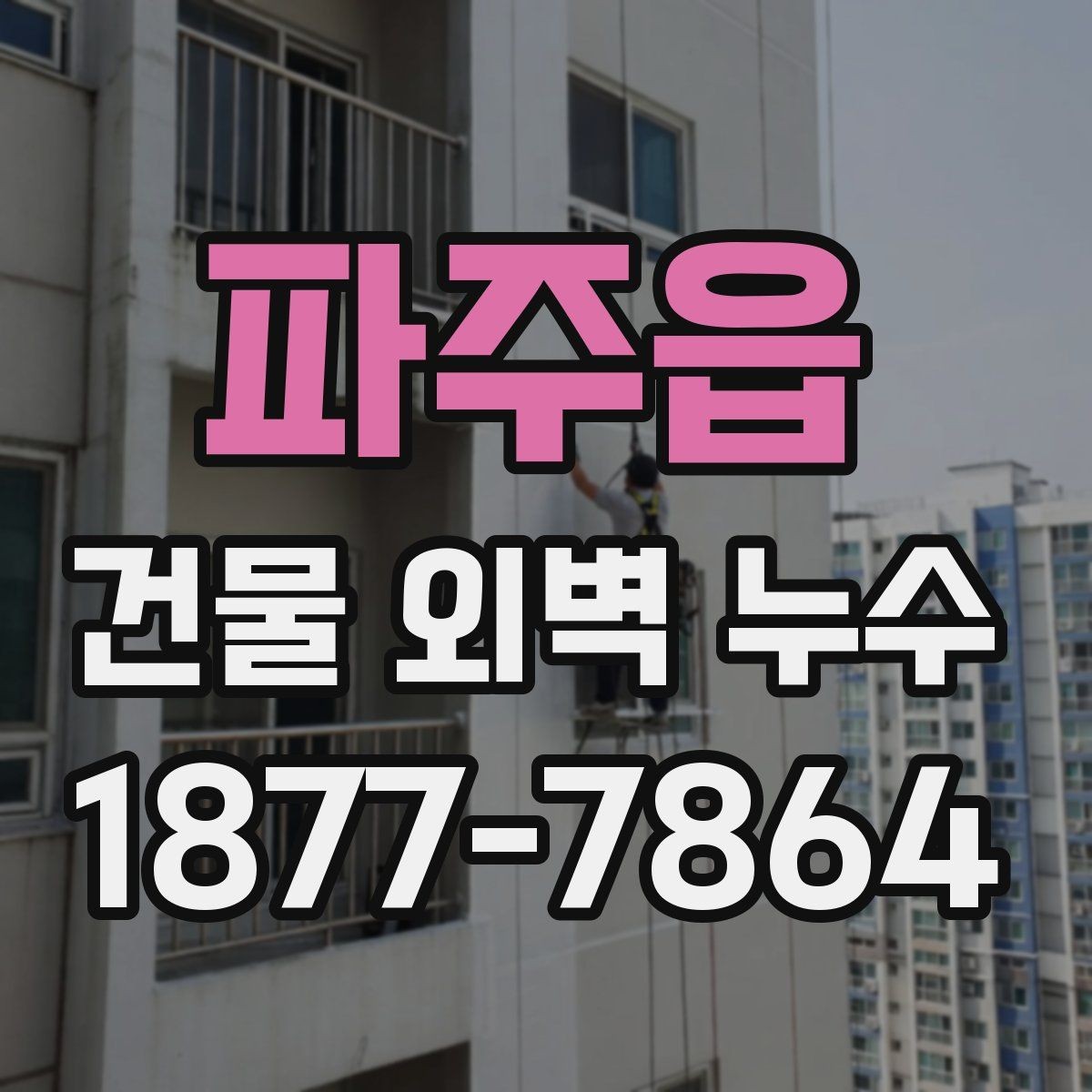 파주읍 건물 외벽 누수 공사 방식 선택 기준