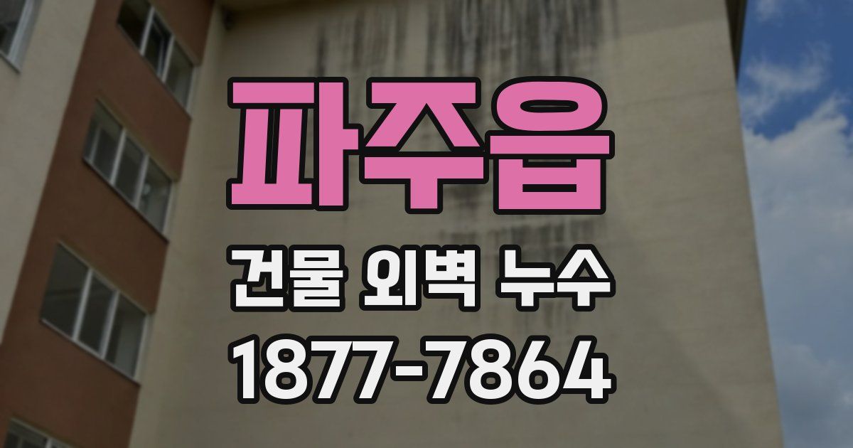 파주읍 건물 외벽 누수