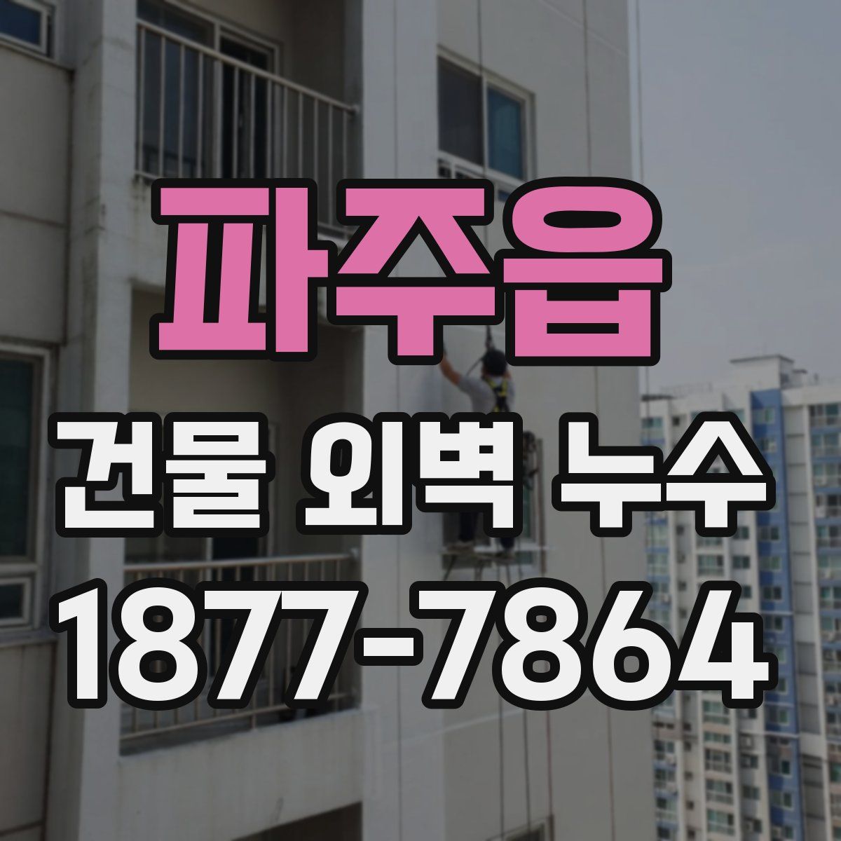 파주읍 건물 외벽 누수