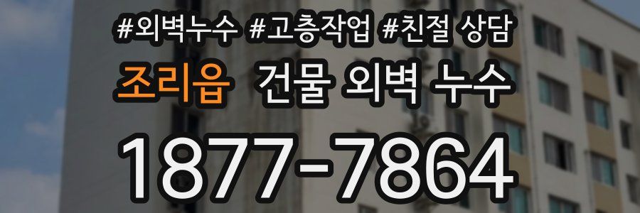 조리읍 건물 외벽 누수