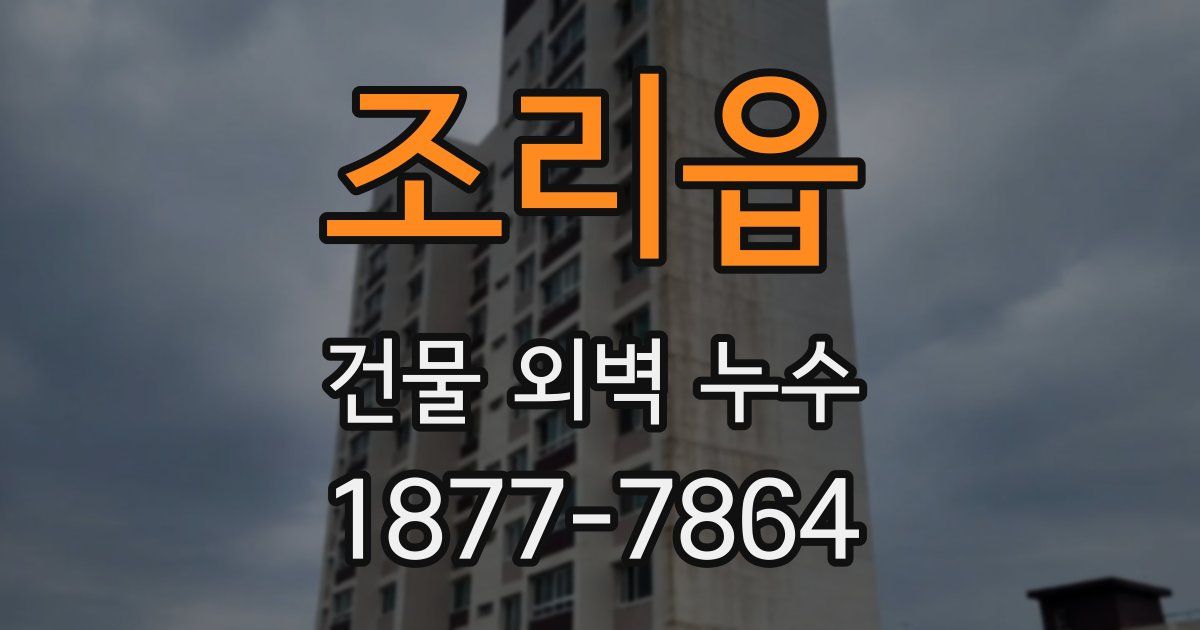 조리읍 건물 외벽 누수