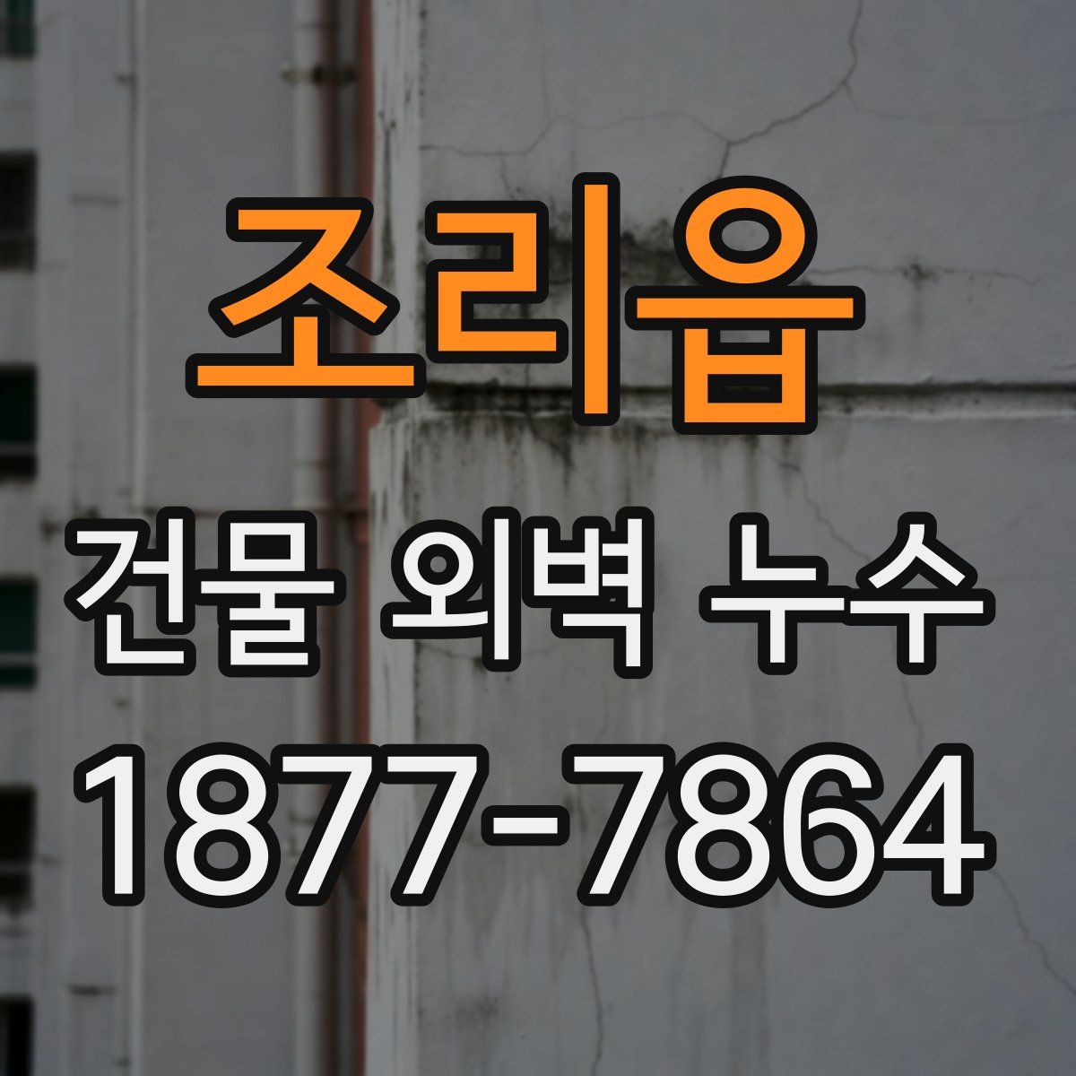 조리읍 건물 외벽 누수