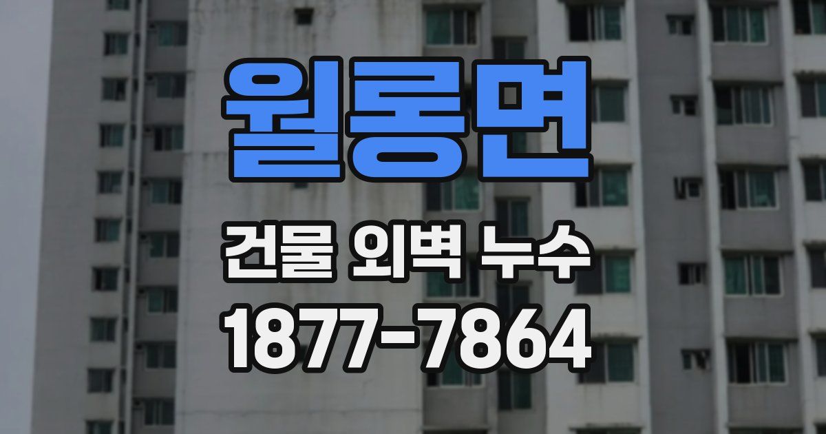 월롱면 건물 외벽 누수