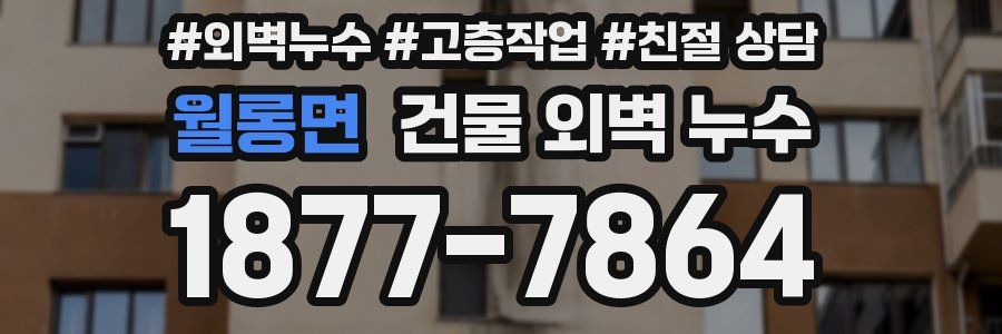 월롱면 건물 외벽 누수