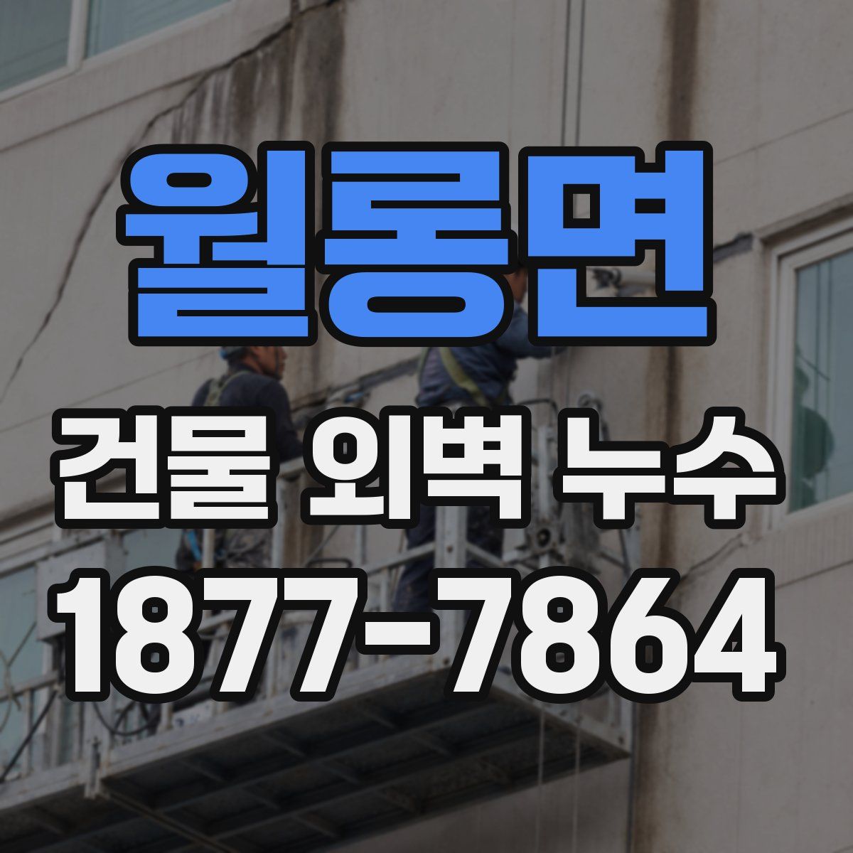 월롱면 건물 외벽 누수