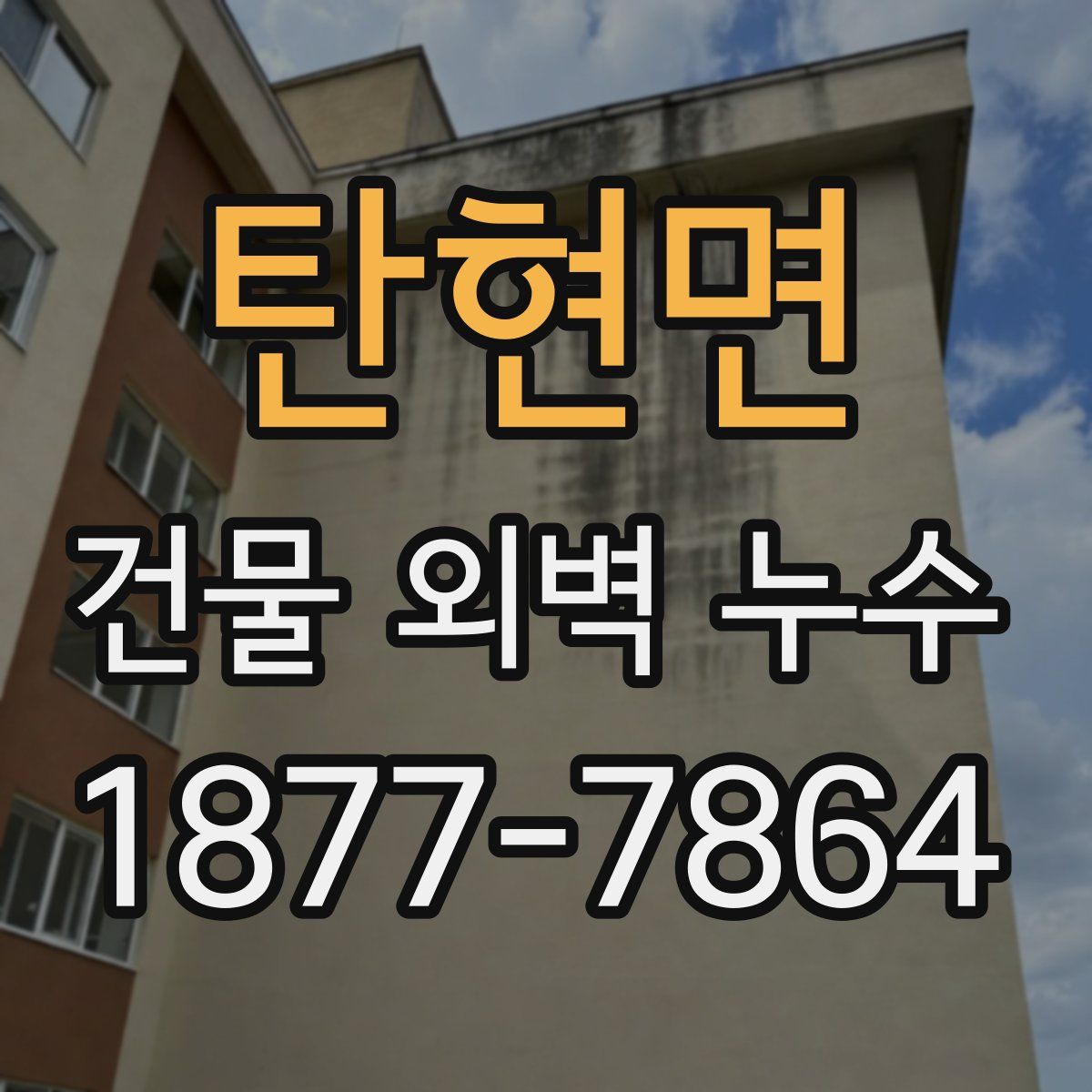 탄현면 건물 외벽 누수