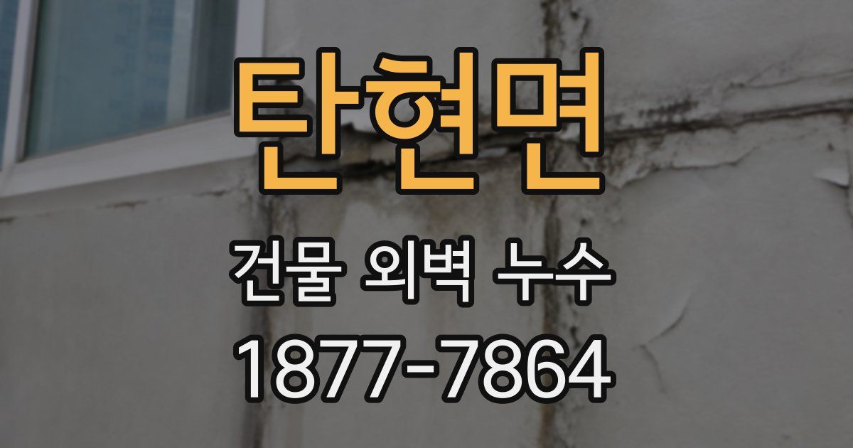 탄현면 건물 외벽 누수