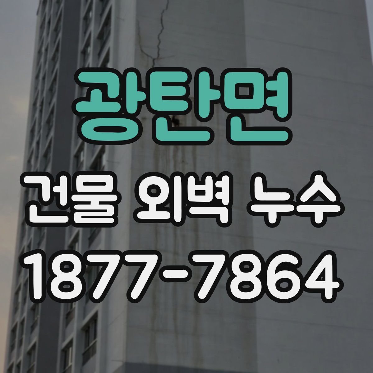 광탄면 건물 외벽 누수