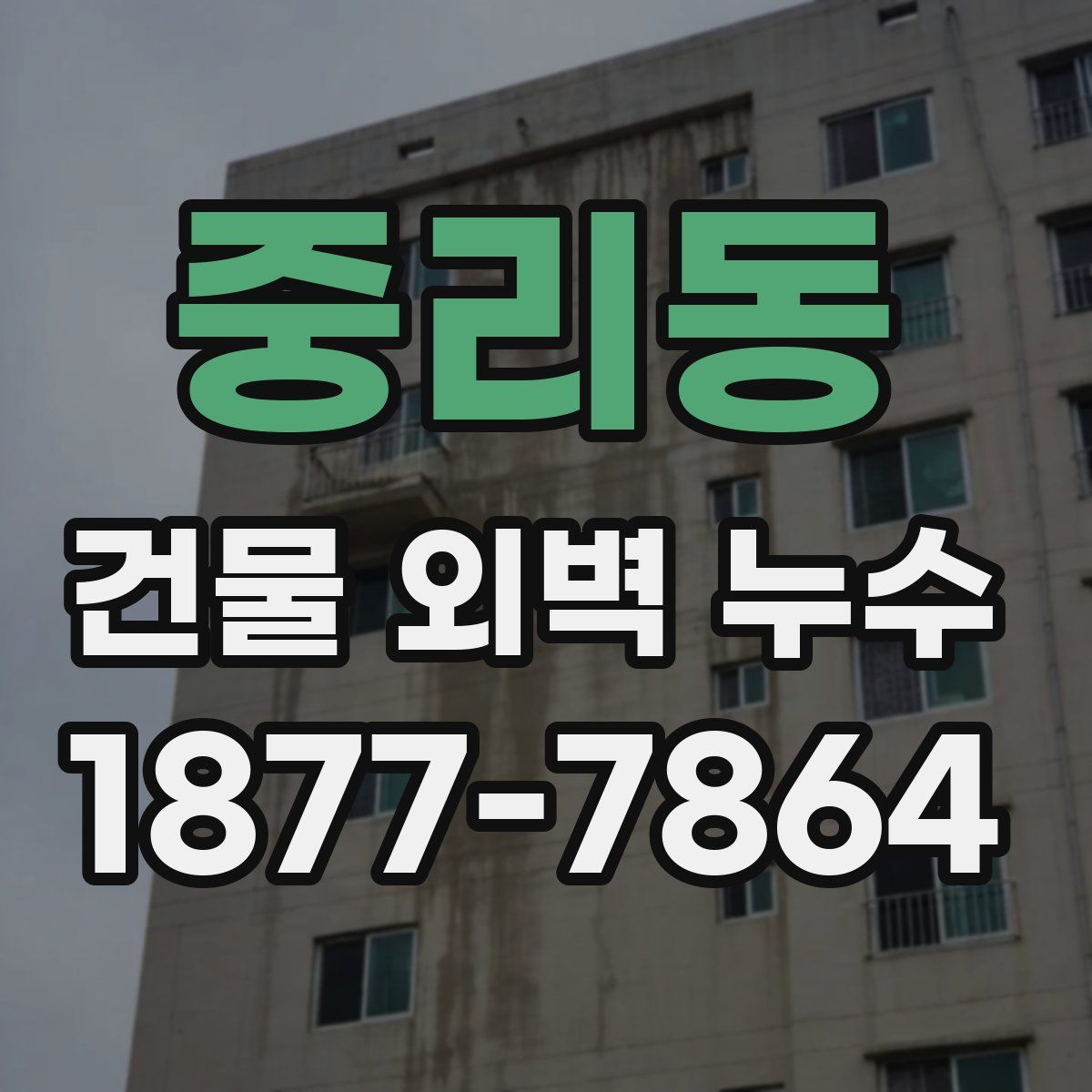 중리동 건물 외벽 누수