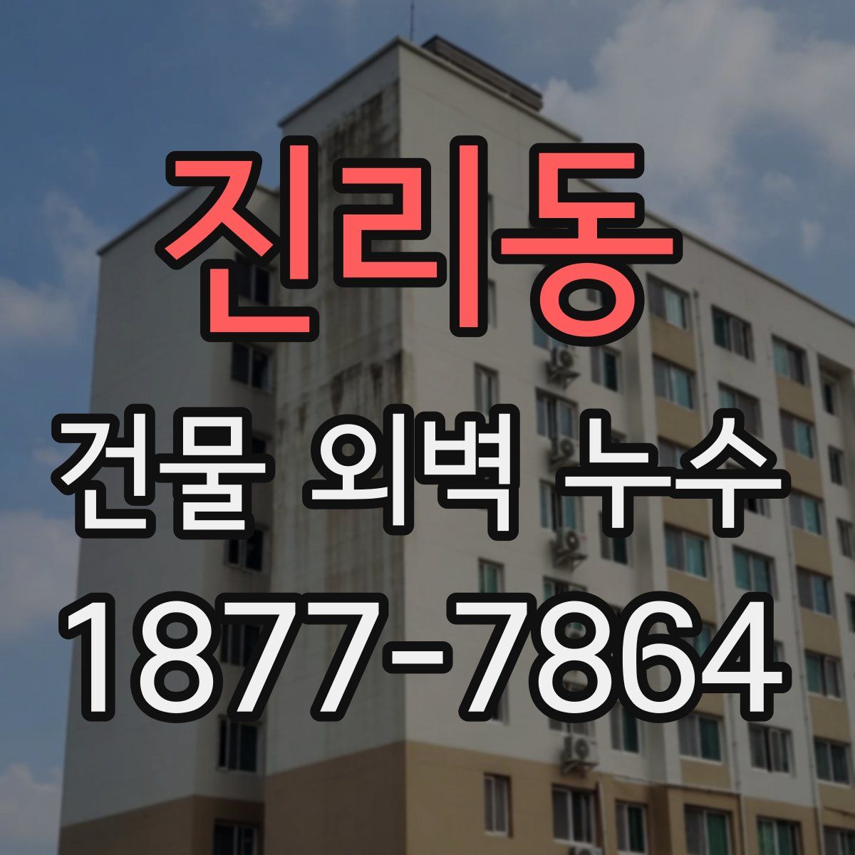 진리동 건물 외벽 누수