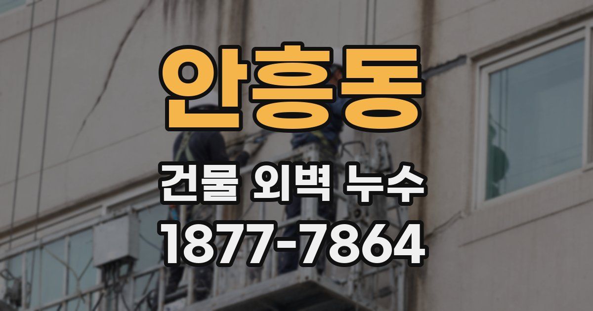안흥동 건물 외벽 누수
