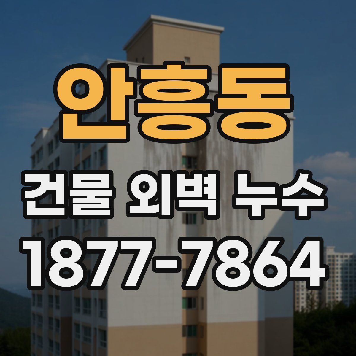 안흥동 건물 외벽 누수