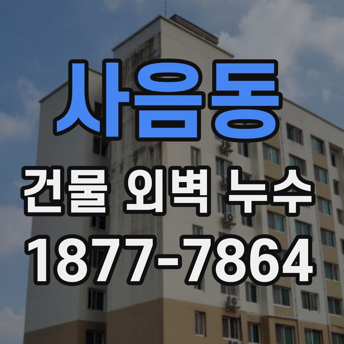 사음동 건물 외벽 누수