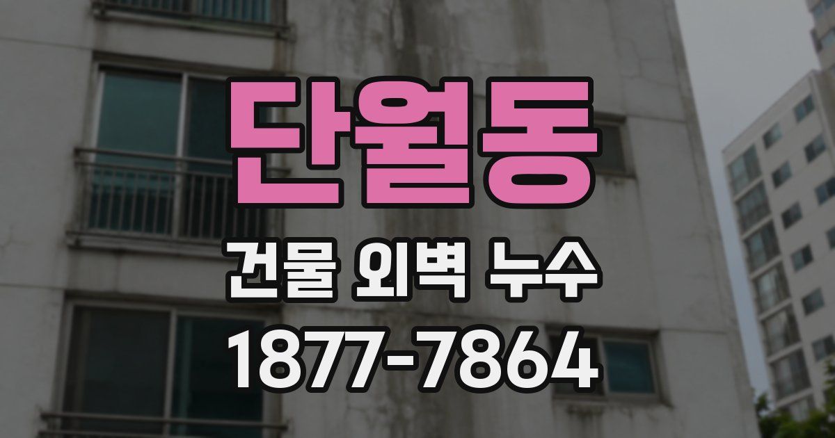 단월동 건물 외벽 누수