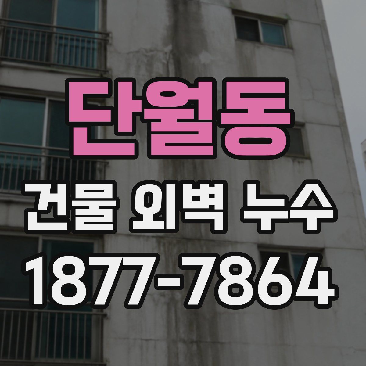 단월동 건물 외벽 누수